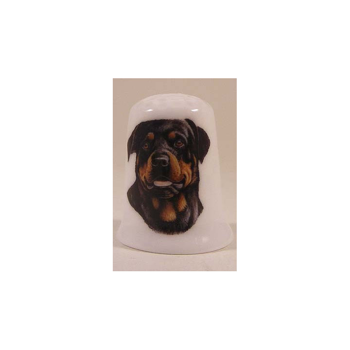 Rottweiler hond op een porselein vingerhoedje