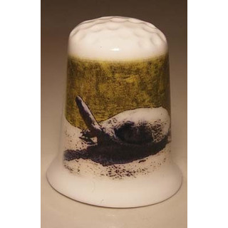 Schildpad met kop omhoog op een porselein vingerhoedje