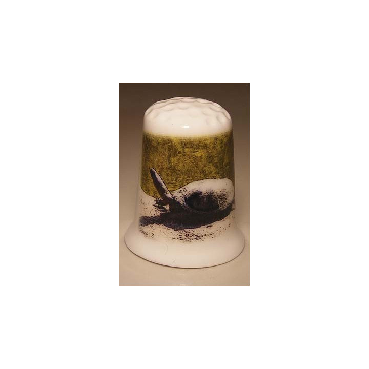 Schildpad met kop omhoog op een porselein vingerhoedje