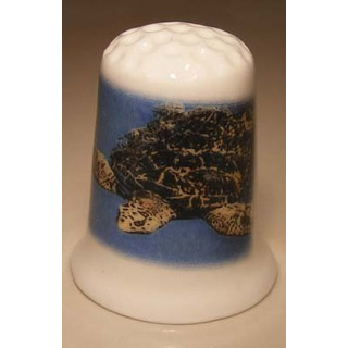 Schildpad onder water op een porselein vingerhoedje