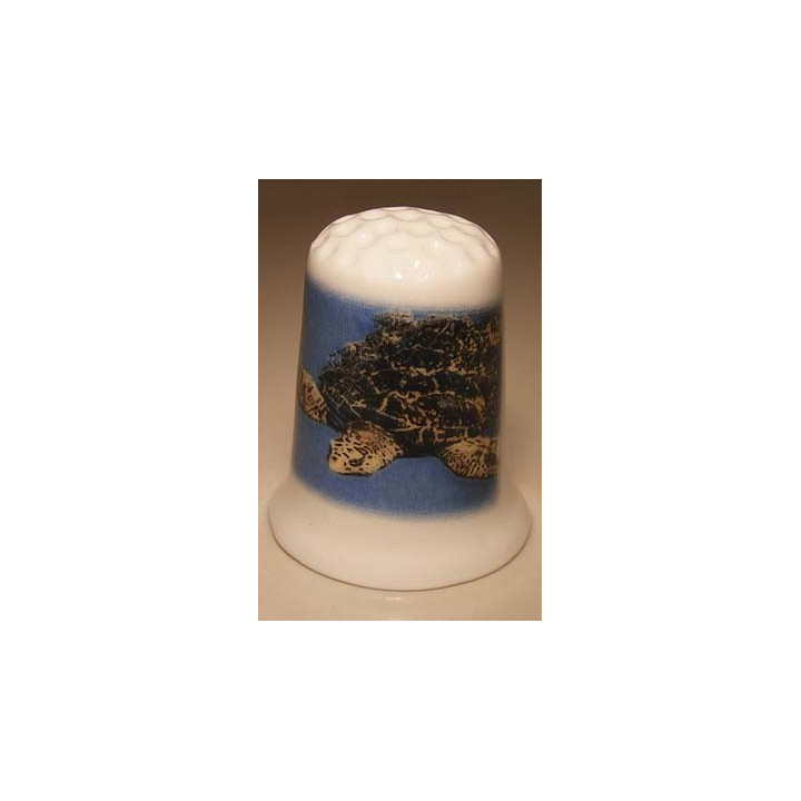 Schildpad onder water op een porselein vingerhoedje