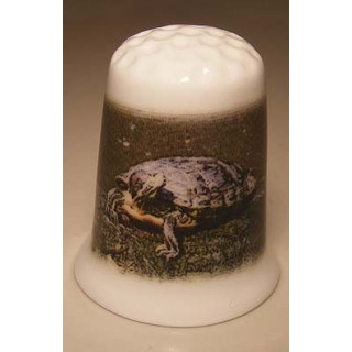 Schildpad op een foto op een porselein vingerhoedje