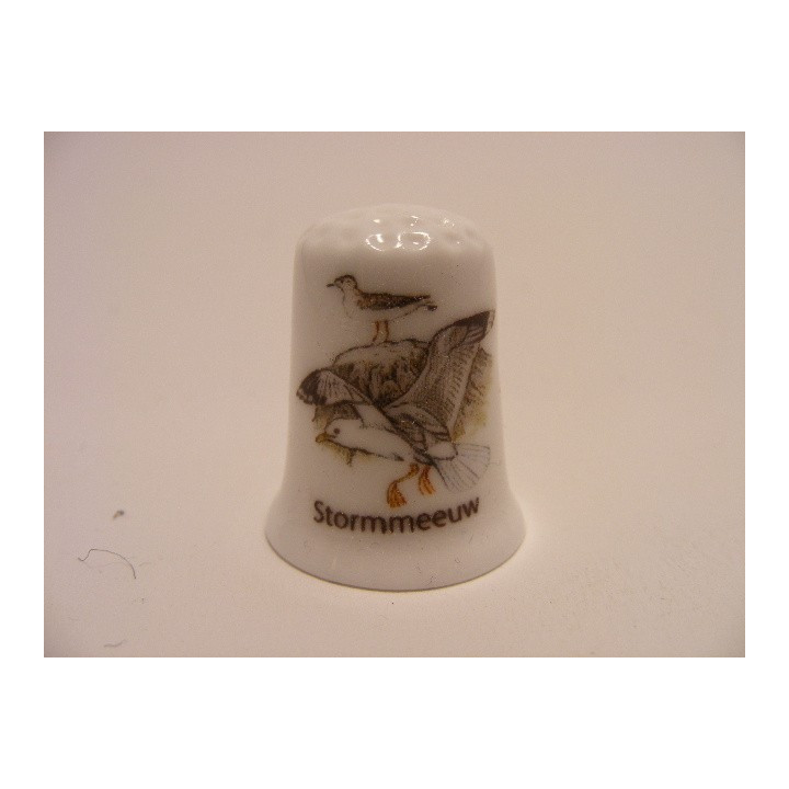 Stormmeeuw Larus canus op een porselein vingerhoedje