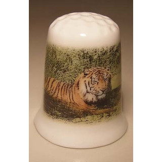 Tijger liggend op een porselein vingerhoedje