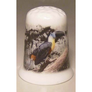 Toekan op een porselein vingerhoedje