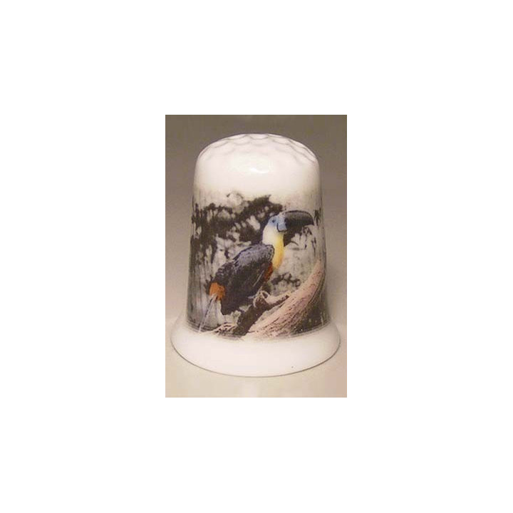 Toekan op een porselein vingerhoedje