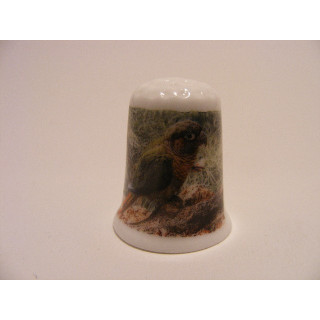 Tropische vogel staand op de grond een porselein vingerhoedje