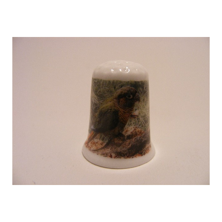 Tropische vogel staand op de grond een porselein vingerhoedje