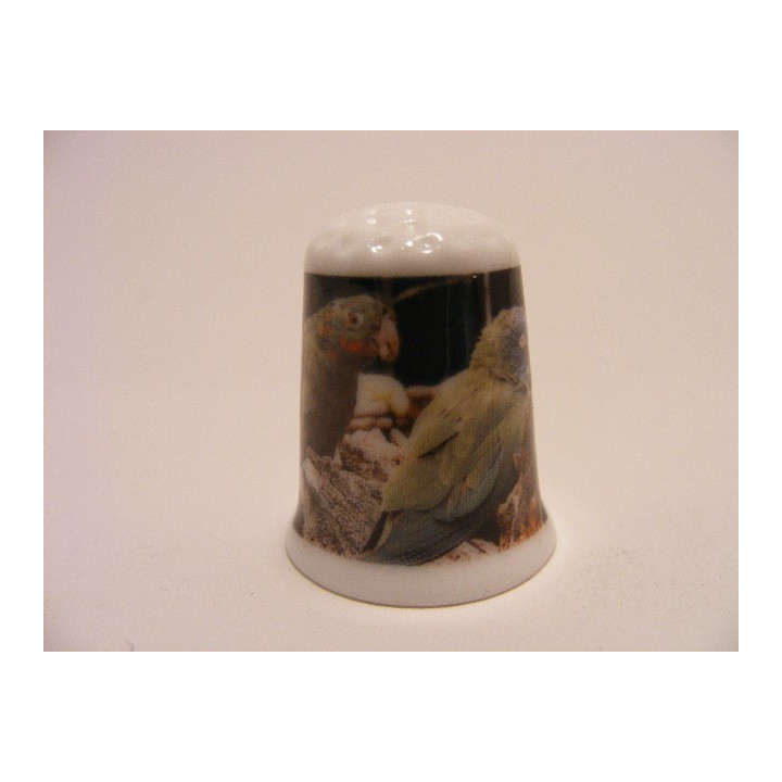 Parkieten vogels vingerhoedje