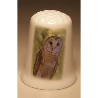 Uil foto op een porselein vingerhoedje nr01 Uil foto op een porselein vingerhoedje nr01