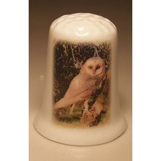 Uil foto op een porselein vingerhoedje nr02 Uil foto op een porselein vingerhoedje nr02