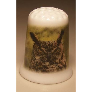 Uil kijkt boos op een porselein vingerhoedje Uil kijkt boos op een porselein vingerhoedje