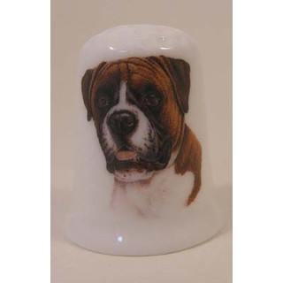 Boxer hond op een porselein vingerhoedje