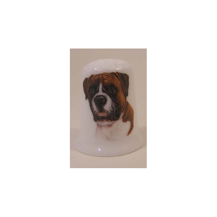 Boxer hond op een porselein vingerhoedje