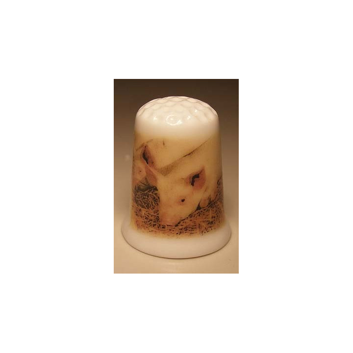 Varken aan het eten op een porselein vingerhoedje Varken aan het eten op een porselein vingerhoedje