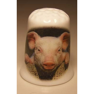 Varken leunt op schutting op een porselein vingerhoedje Varken leunt op schutting op een porselein vingerhoedje