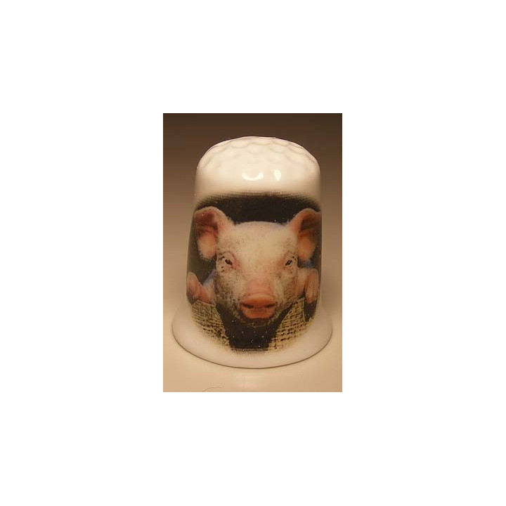 Varken leunt op schutting op een porselein vingerhoedje Varken leunt op schutting op een porselein vingerhoedje