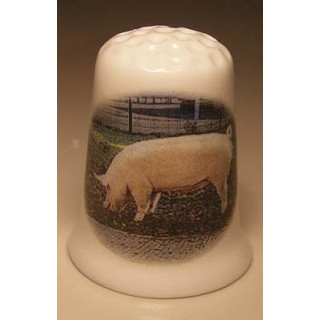 Varken op het gras op een porselein vingerhoedje Varken op het gras op een porselein vingerhoedje