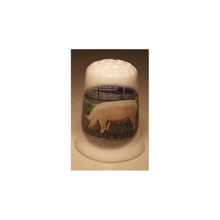 Varken op het gras op een porselein vingerhoedje
