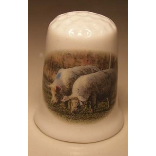 Varkens foto op een porselein vingerhoedje Varkens foto op een porselein vingerhoedje