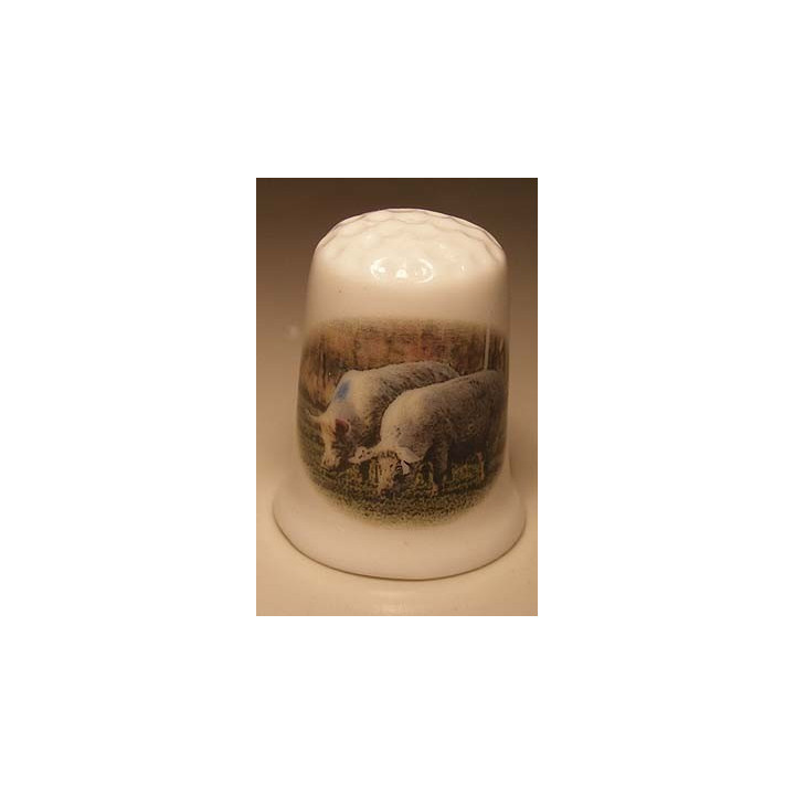 Varkens foto op een porselein vingerhoedje Varkens foto op een porselein vingerhoedje