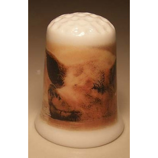 Varkens kop op een porselein vingerhoedje