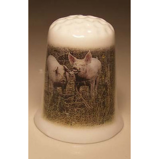 Varkens op een porselein vingerhoedje Varkens op een porselein vingerhoedje