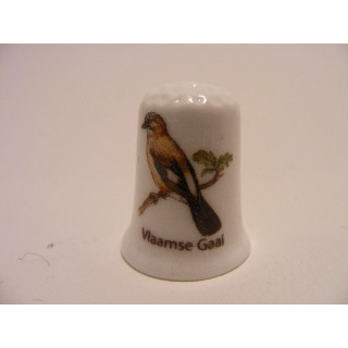 Vlaamse gaai vingerhoedje