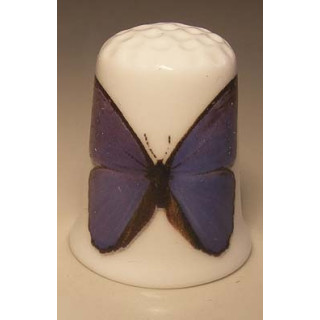 Morpho anaxibia vlinder afbeelding vingerhoedje