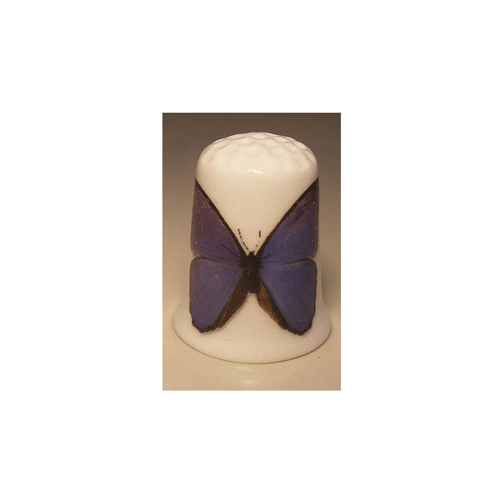 Morpho anaxibia vlinder afbeelding vingerhoedje