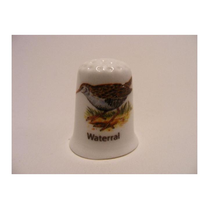 Waterral vogel vingerhoedje