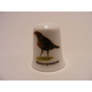 Waterspreeuw zangvogel vingerhoedje