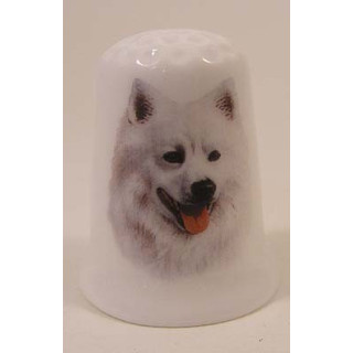 American Eskimo hond op een porselein vingerhoedje