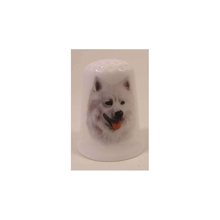 American Eskimo hond op een porselein vingerhoedje