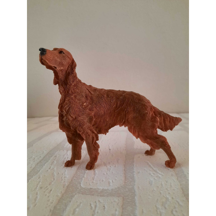 Irish red setter hond van Natural world country artists CA03541