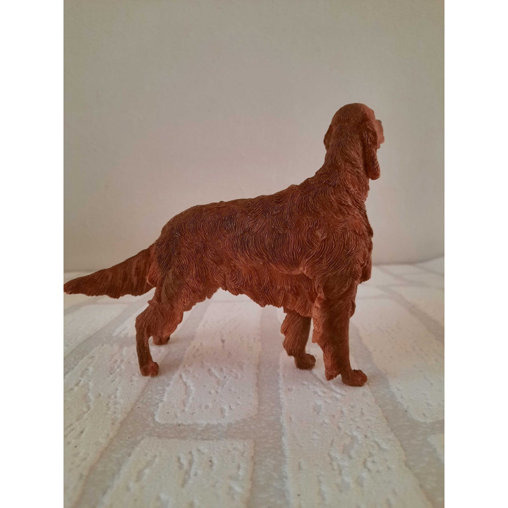 Irish red setter hond van Natural world country artists CA03541