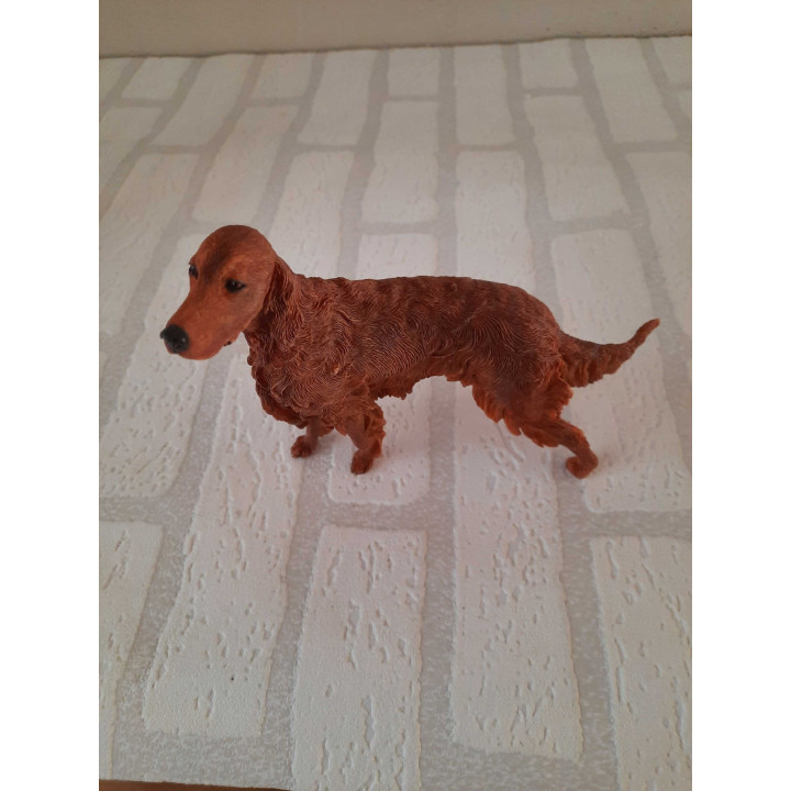 Irish red setter hond van Natural world country artists CA03541