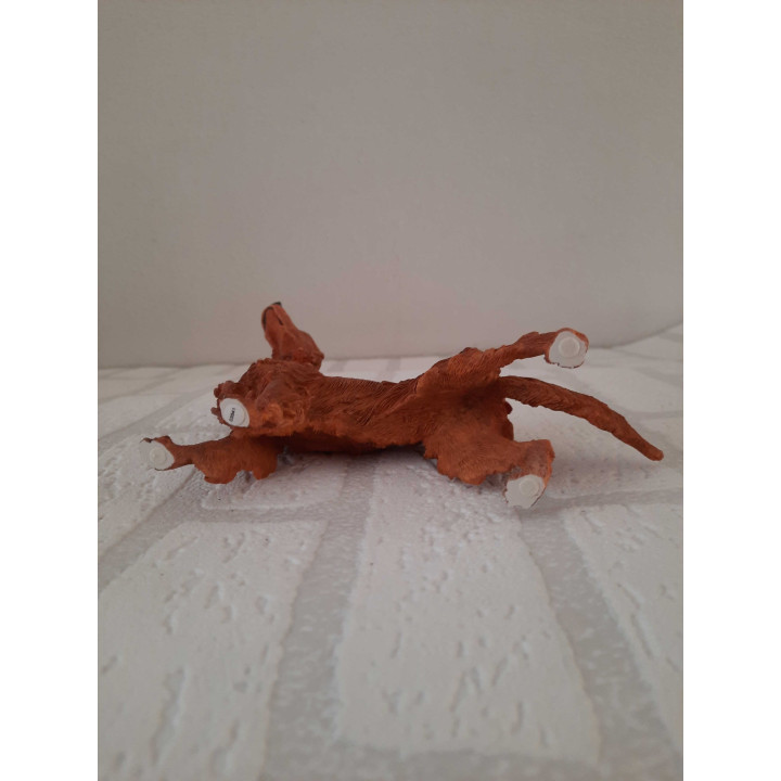 Irish red setter hond van Natural world country artists CA03541