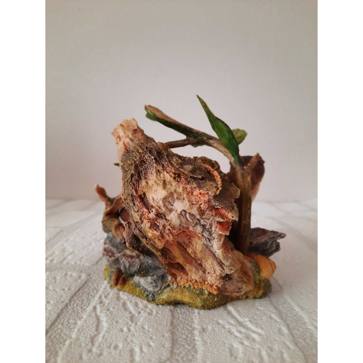 Otters van Natural world country artists CA04987