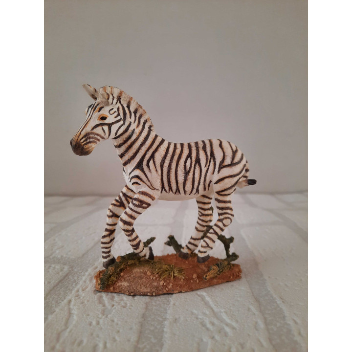 Zebra van Natural world country artists CA04945
