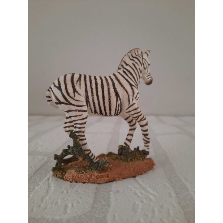 Zebra van Natural world country artists CA04945
