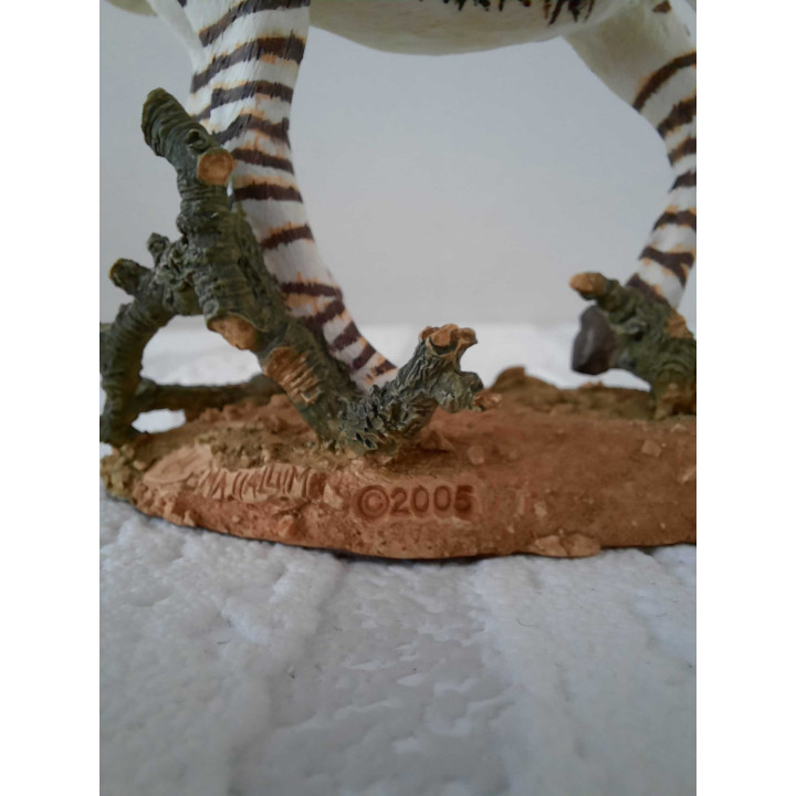 Zebra van Natural world country artists CA04945