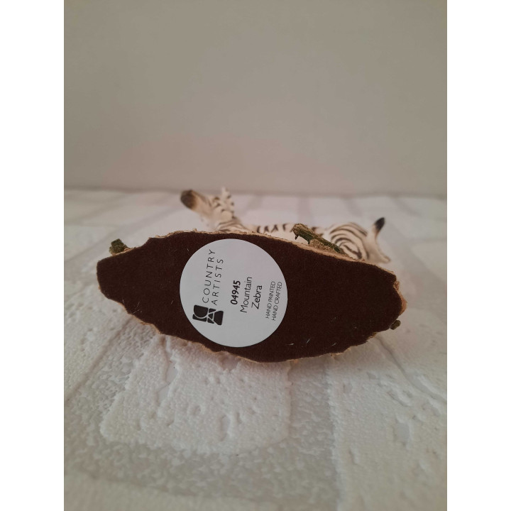 Zebra van Natural world country artists CA04945