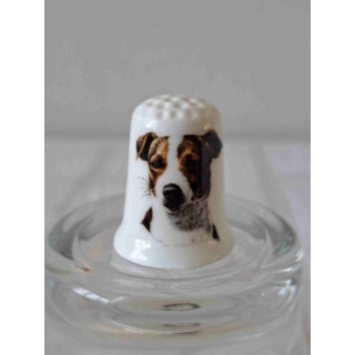 Jack Russell terrier hond op een porselein vingerhoedje