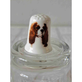 Cavalier King Charles Spaniel op een porselein vingerhoedje
