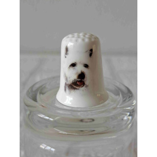 West Highland Terrier op een porselein vingerhoedje