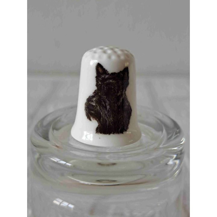 Schotse terrier hond op een porselein vingerhoedje