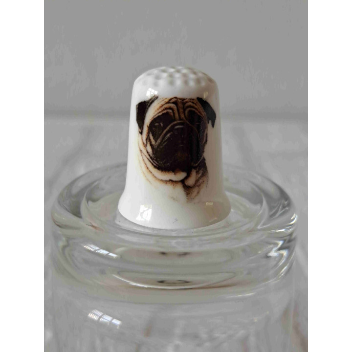 Mopshond hond op een porselein vingerhoedje