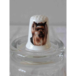 Vingerhoedje Yorkshire Terrier Hond Ras