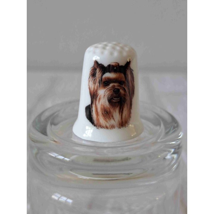Vingerhoedje Yorkshire Terrier Hond Ras